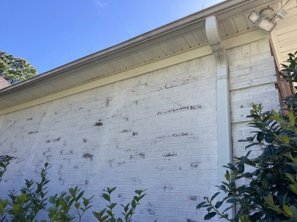 Atlantic Painting Company