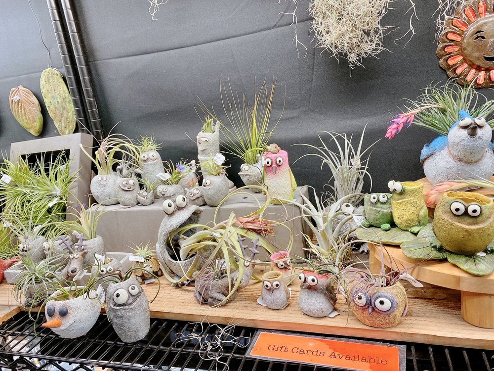 Indoor Sun Shoppe