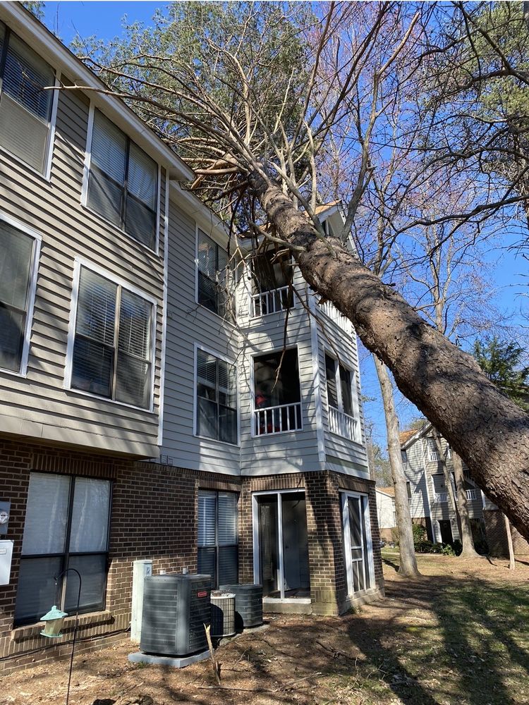 Huntsview Apartments