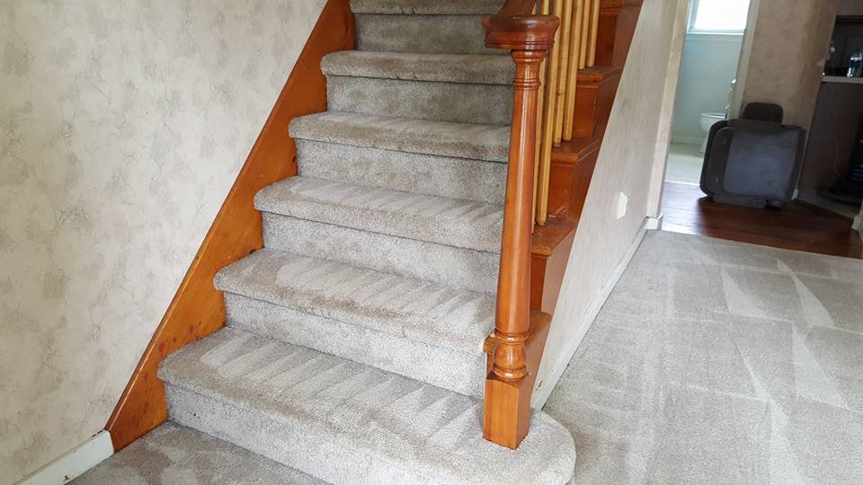 Steam Master Cleaning Services