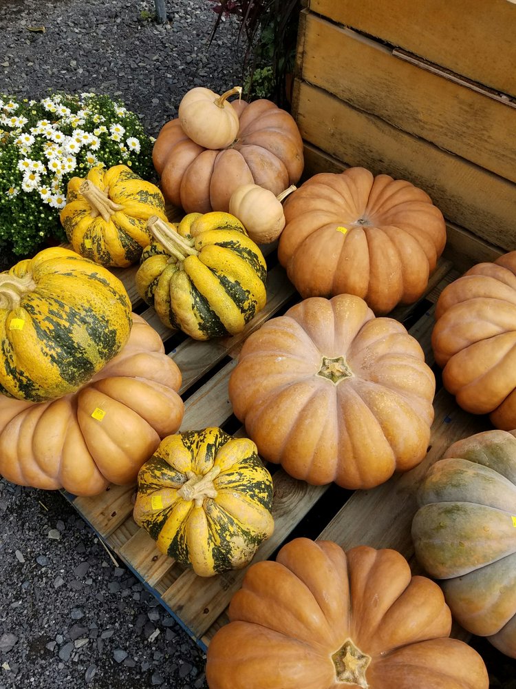 Windy Springs Farm Farmers Market 1845 Myers Rd, Quakertown, PA