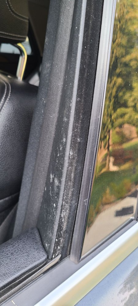 Prime Gloss Detailing
