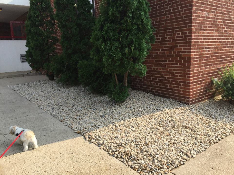 Photos For Olson Toon Landscaping - Yelp Photo of Olson Toon Landscaping - Verona, WI, United States - Photos For Olson Toon Landscaping - Yelp