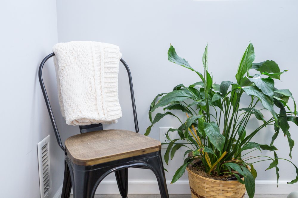 image of business C & K Dental Boutique