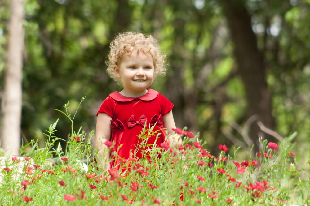 Kane Studios Photography & Gardens