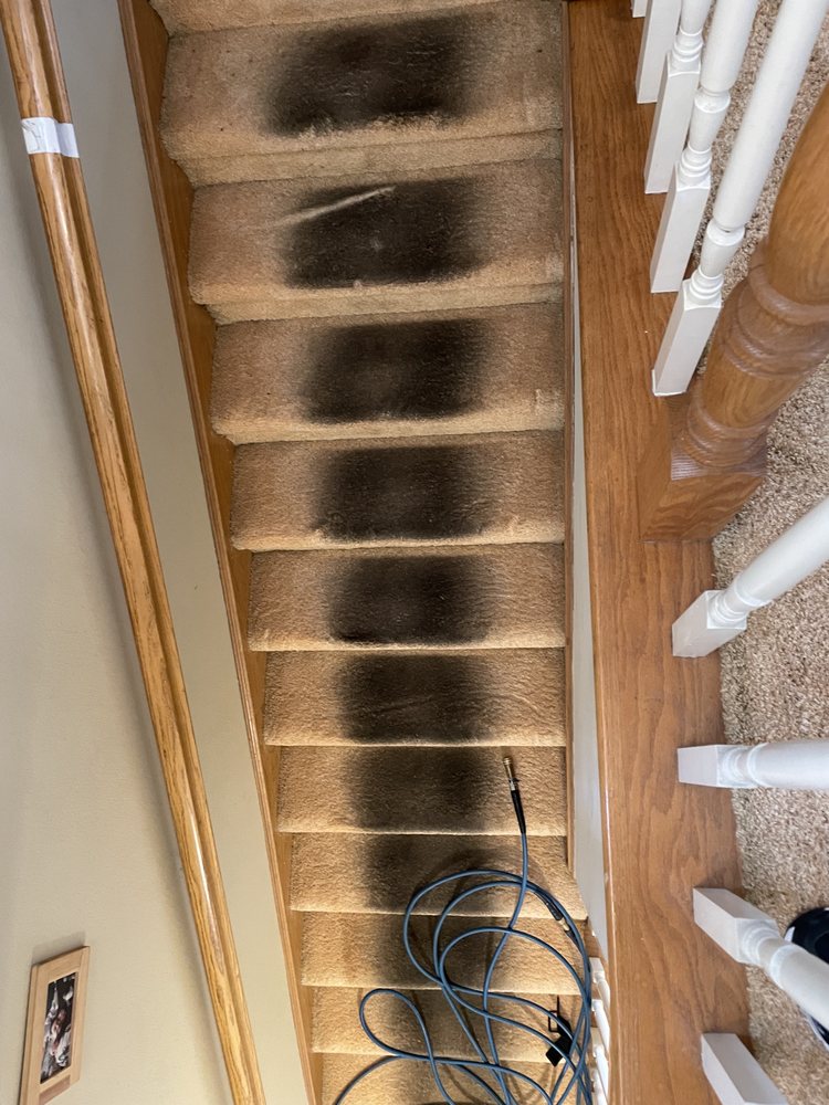 South Bay Carpet Cleaning