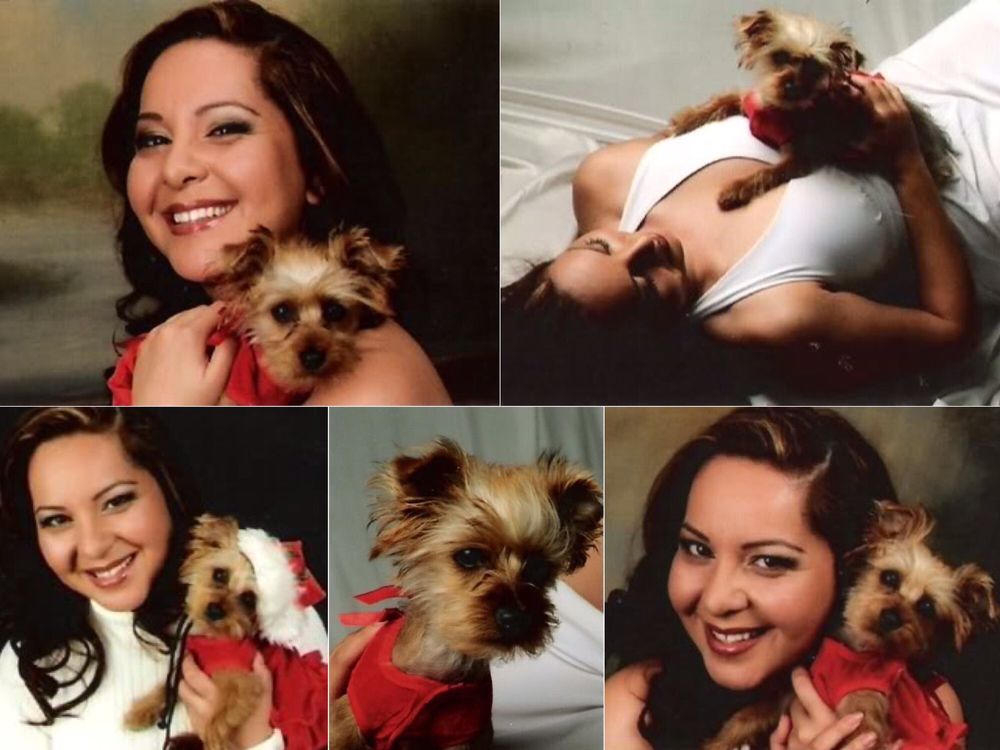 Hacienda Animal Clinic - 37 Photos & 120 Reviews - Veterinarians - 1338 Hacienda Animal Clinic - 37 Photos & 120 Reviews - Veterinarians - 1338