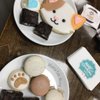 Paws The Cat Cafe