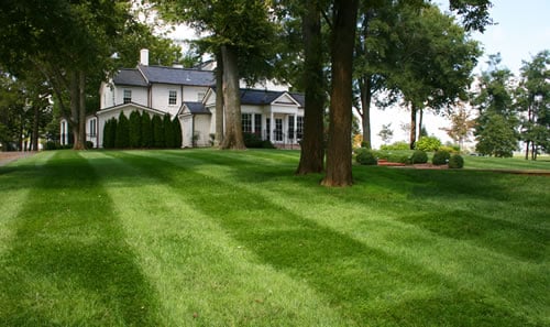 WD Giampa Lawn and Landscapes