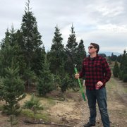 Santa S Trees Christmas 11389 Barnett Valley Rd