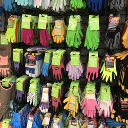 Armstrong Garden Centers 60 Photos 32 Reviews Nurseries Photo Of Armstrong Garden Centers La Canada Flintridge Ca United States Gloves