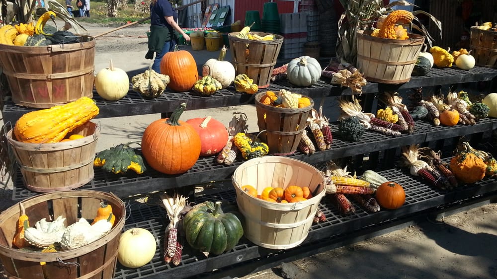 Giamarese Farm 38 Photos & 22 Reviews Farmers Market 155 Fresh