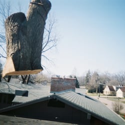 Tree Service Sturtevant  Photo of Cassity Tree Service - Sturtevant, WI, United States. Tree removal with