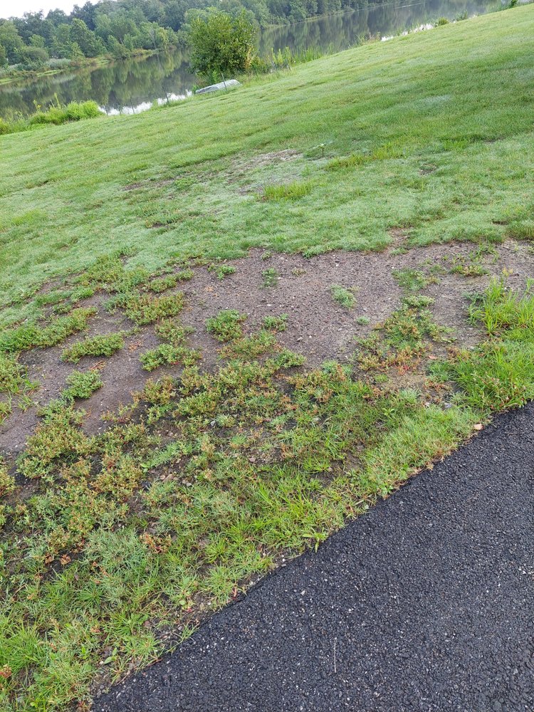 New Hampton Lawn Care