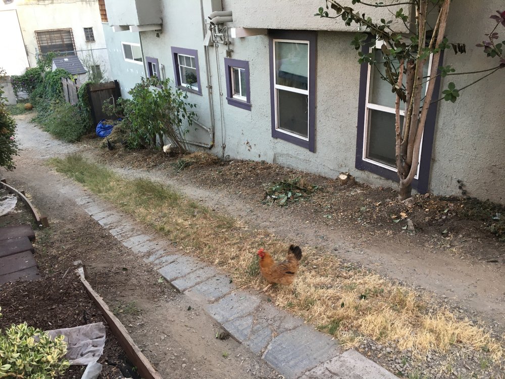 Haul U Need Yard Services