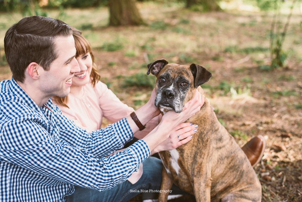 Stella Blue Photography