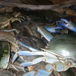 Bluewater Seafood Take Out Closed 17 Photos 10 Reviews Photo Of Bluewater Seafood Take Out Virginia Beach Va United States