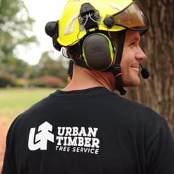 Urban Timber Tree Service 25 Photos 24 Reviews Services Photo Of Urban Timber Tree Service Portland Or United States Owner And