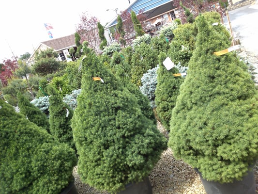 Ral Landscaping Garden Center 6616 W Lincoln Hwy Crown Point In Photos 10 Legal Help Ral Landscaping