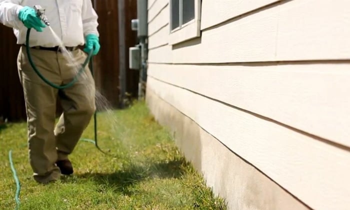 Bulwark Exterminating