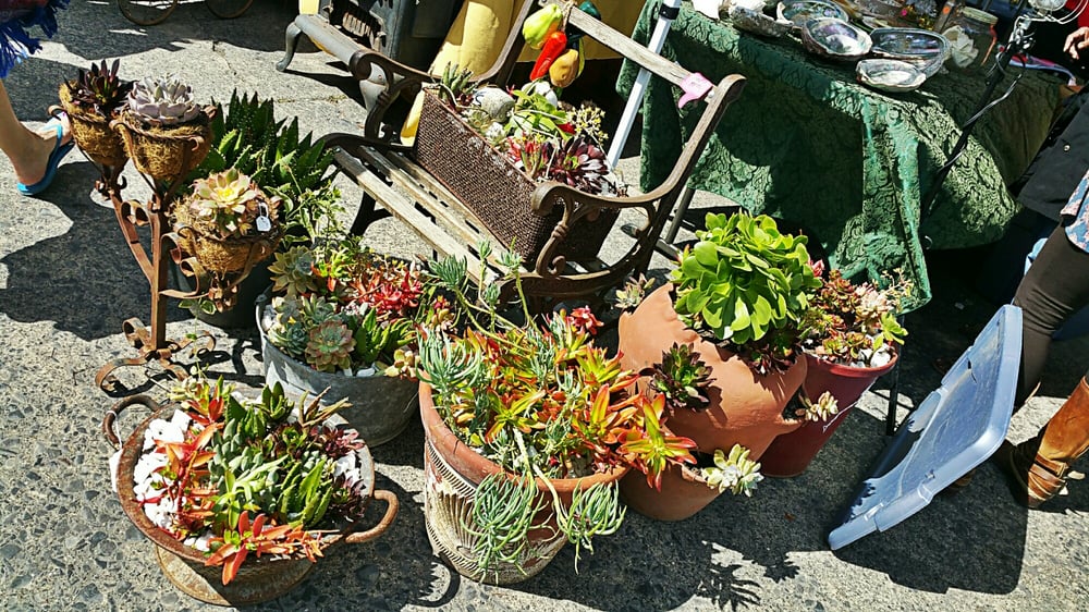 Petaluma Antique Faire