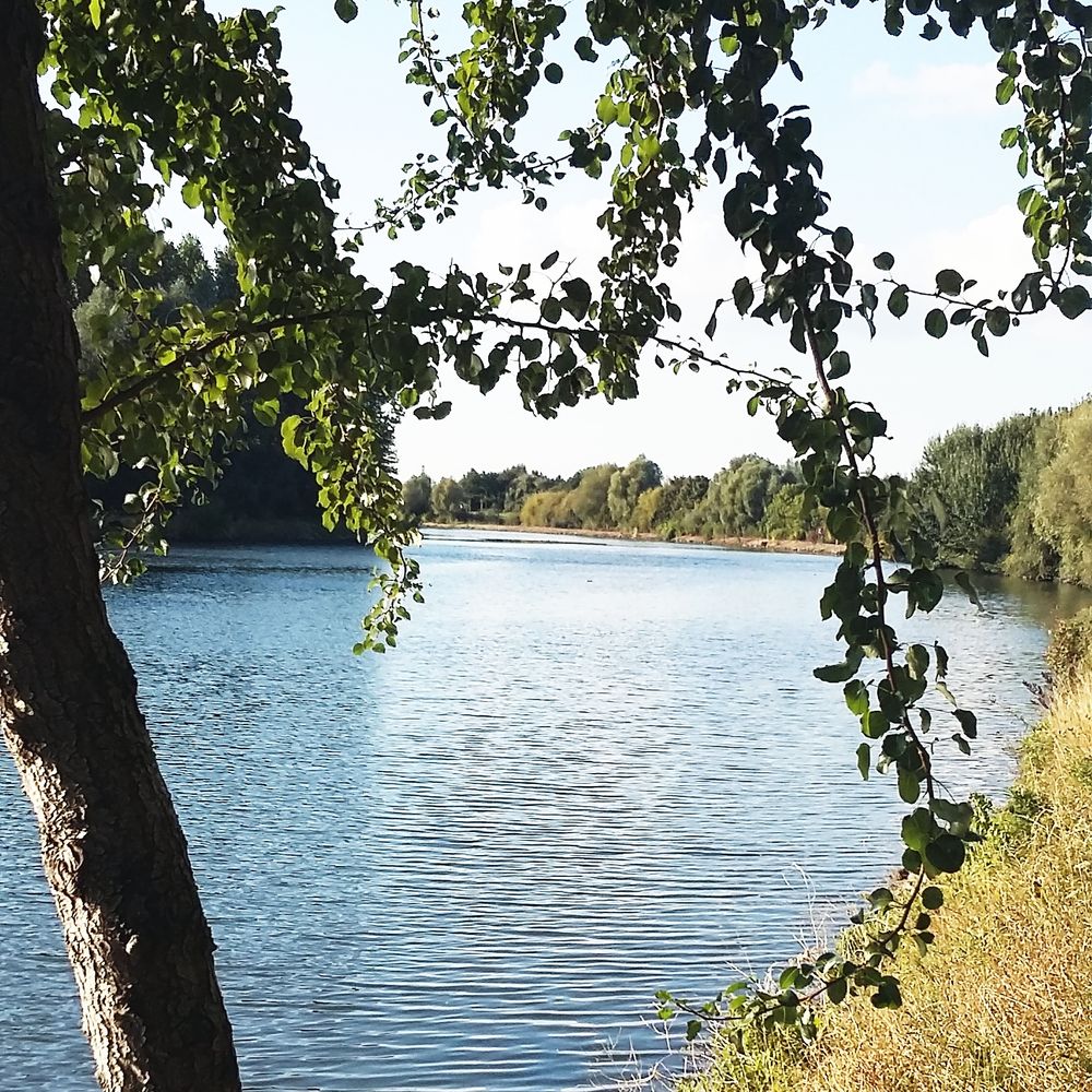 La Coulée Verte - Voie Verte