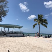 Higgs Beach Dog Park 174 Photos 75 Reviews Parks 1052 Photo Of Higgs Beach Dog Park Key West Fl United States