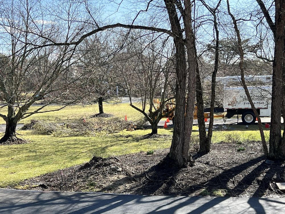 Al's Affordable Tree Service