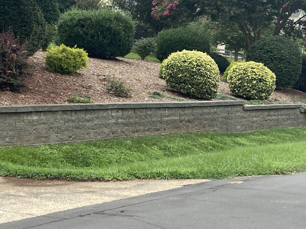 Dolley Tree Service And Landscaping Co.