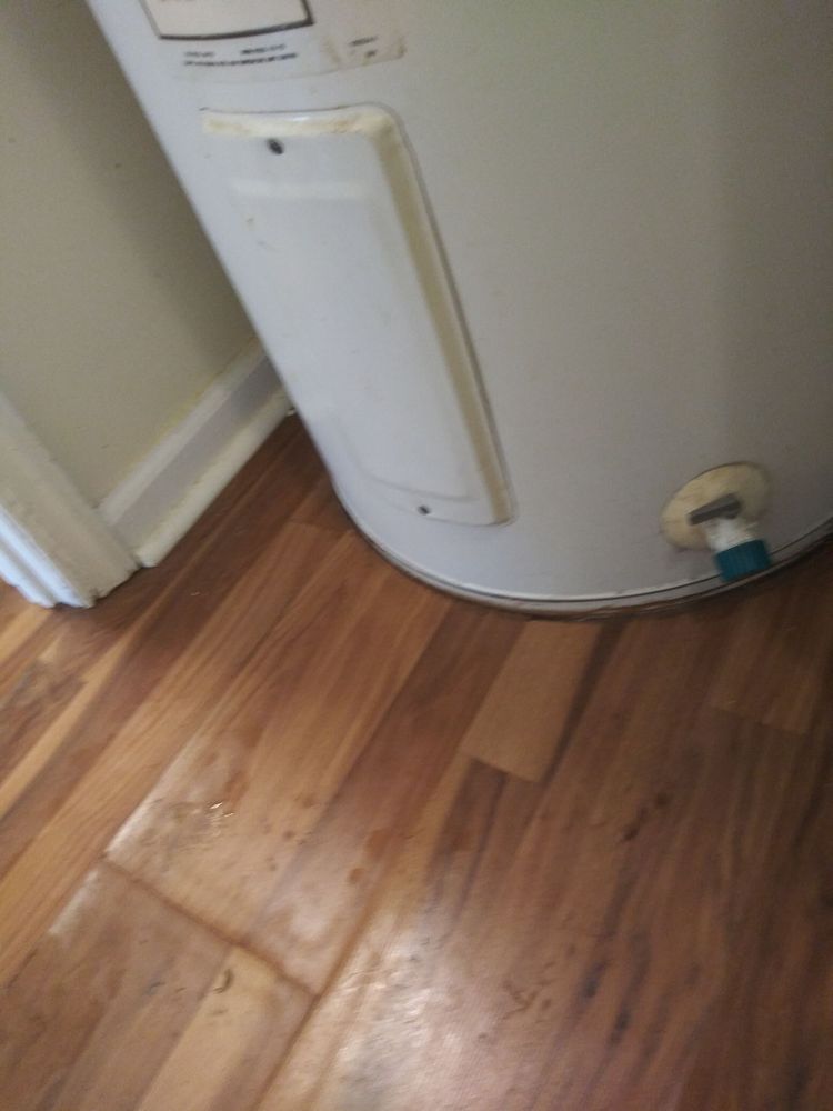 Roto-Rooter Plumbing & Drain Services