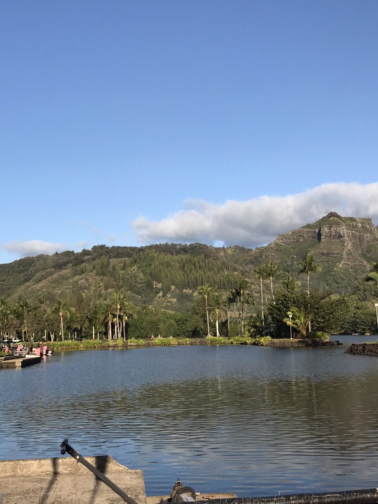 Kayak Wailua Tours 99 Photos & 275 Reviews Tours 4565 Haleilio Rd