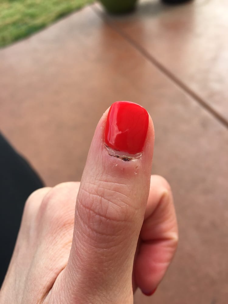 Deluxe Nails 73 Photos & 108 Reviews Nail Salons 5132 Kyle Center