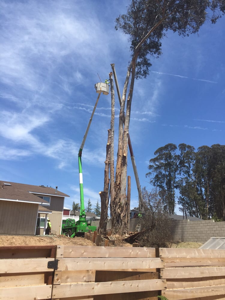 Truck Lifts Near Me >> Bunyon Bros Tree Service - 18 Reviews - Tree Services - 5345 Davenport Creek Rd, San Luis Obispo ... Truck Lifts Near Me >> Bunyon Bros Tree Service - 18 Reviews - Tree Services - 5345 Davenport Creek Rd, San Luis Obispo ...