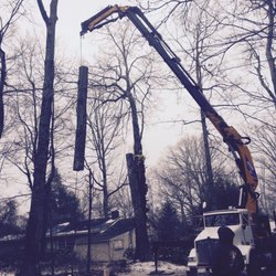 Turning Leaf Tree Service Services Asheville Nc Phone Photo Of Turning Leaf Tree Service Asheville Nc United States