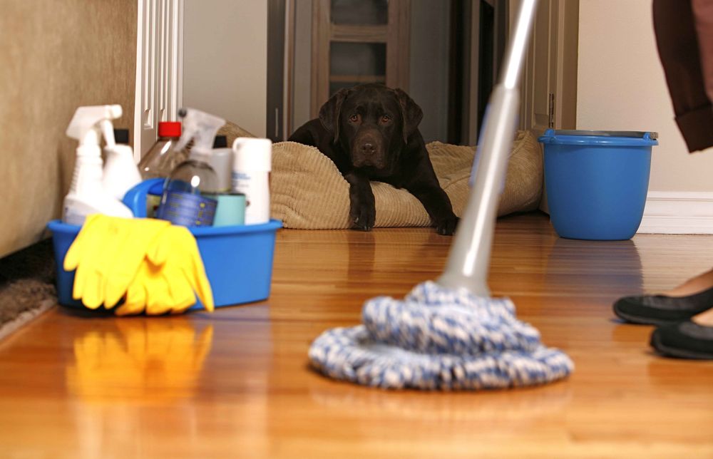 Superior Cleaning Service