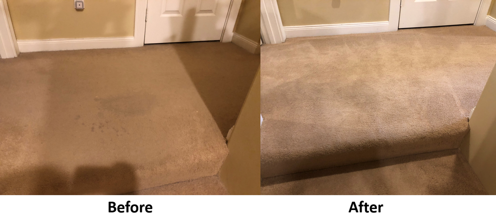 CitruSolution Carpet Cleaning