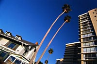 Prince Scott Realty and Tax Services