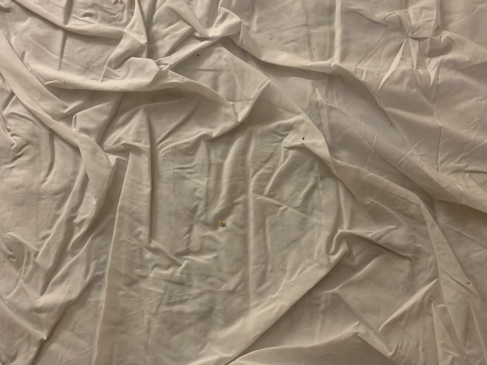 Holiday Inn Express & Suites - Fayetteville South