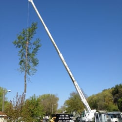 Metro Tree And Crane Service Services Blaine Mn Phone Photo Of Metro Tree And Crane Service Blaine Mn United States