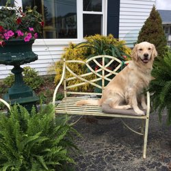 Vintage Home Decor - Antiques - 821 Boston Post Rd, Old Saybrook, CT ... Vintage Home Decor - Antiques - 821 Boston Post Rd, Old Saybrook, CT ...