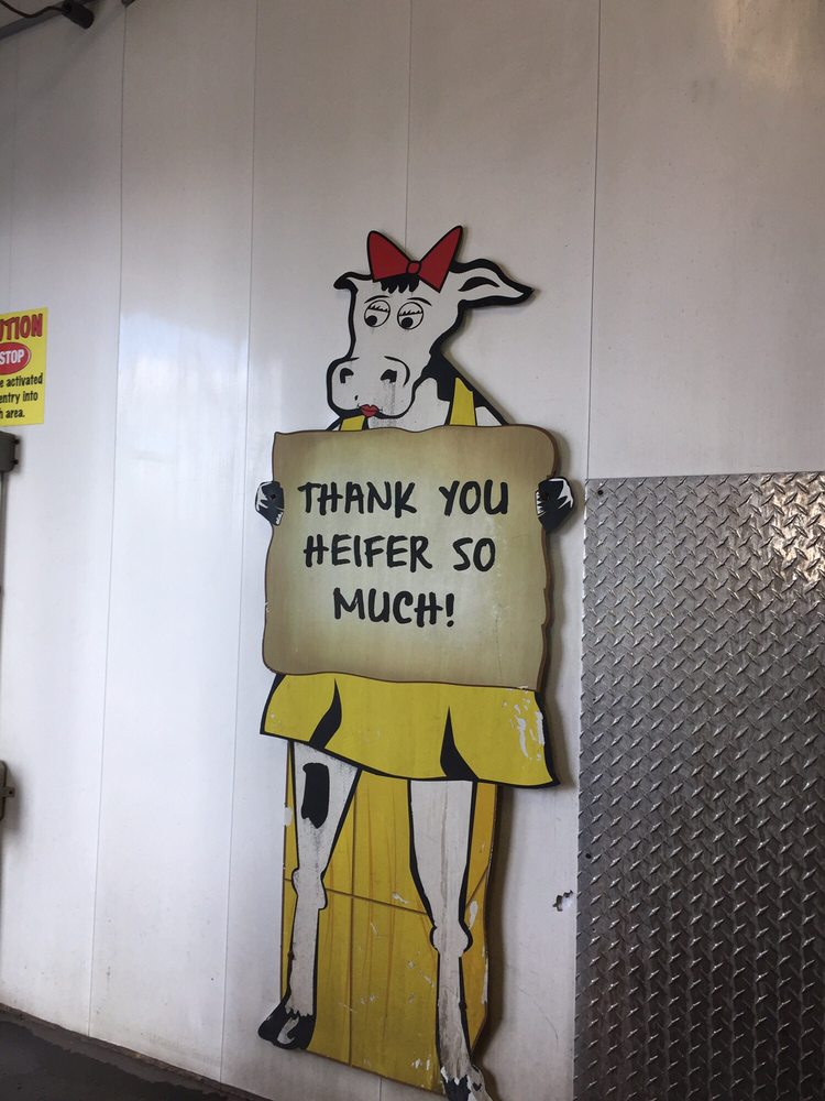 Moo Moo Express Car Wash 11 Photos & 16 Reviews Car Wash 1410