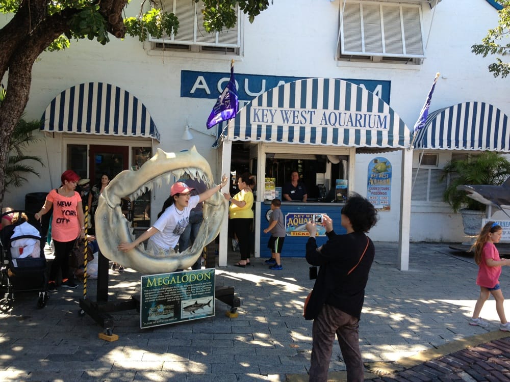 Key West Aquarium 96 Photos & 76 Reviews Aquariums 1 Whitehead St