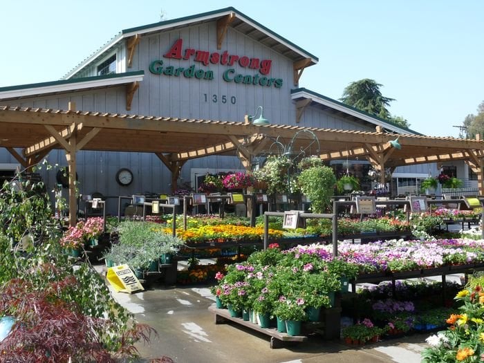 Armstrong Garden Centers 33 Photos 122 Reviews Nurseries Armstrong Garden Centers 33 Photos 122 Reviews Nurseries Gardening 3226 Wilshire Blvd Santa Monica Ca Phone Number Yelp