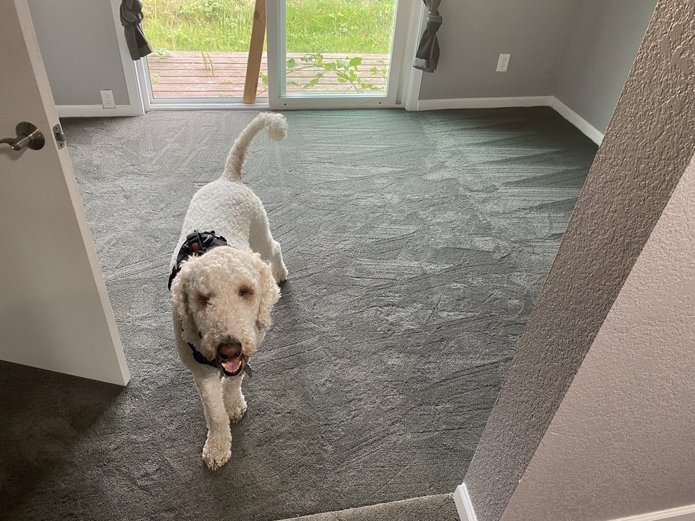 image of business Modern Floors