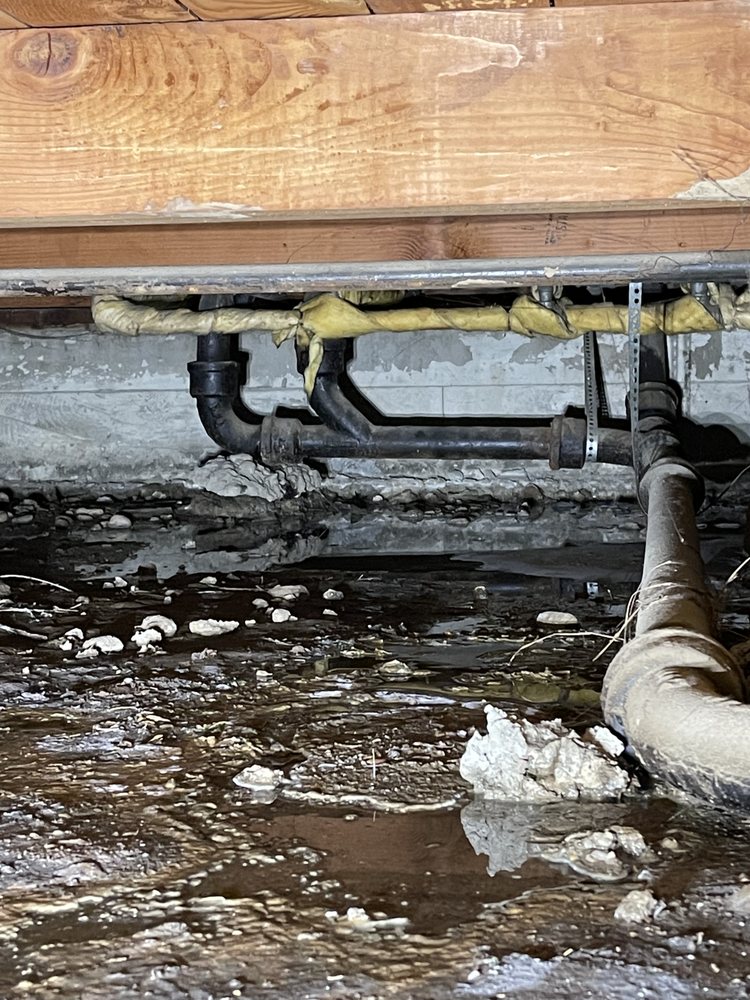 Absolute Rooter & Plumbing Services