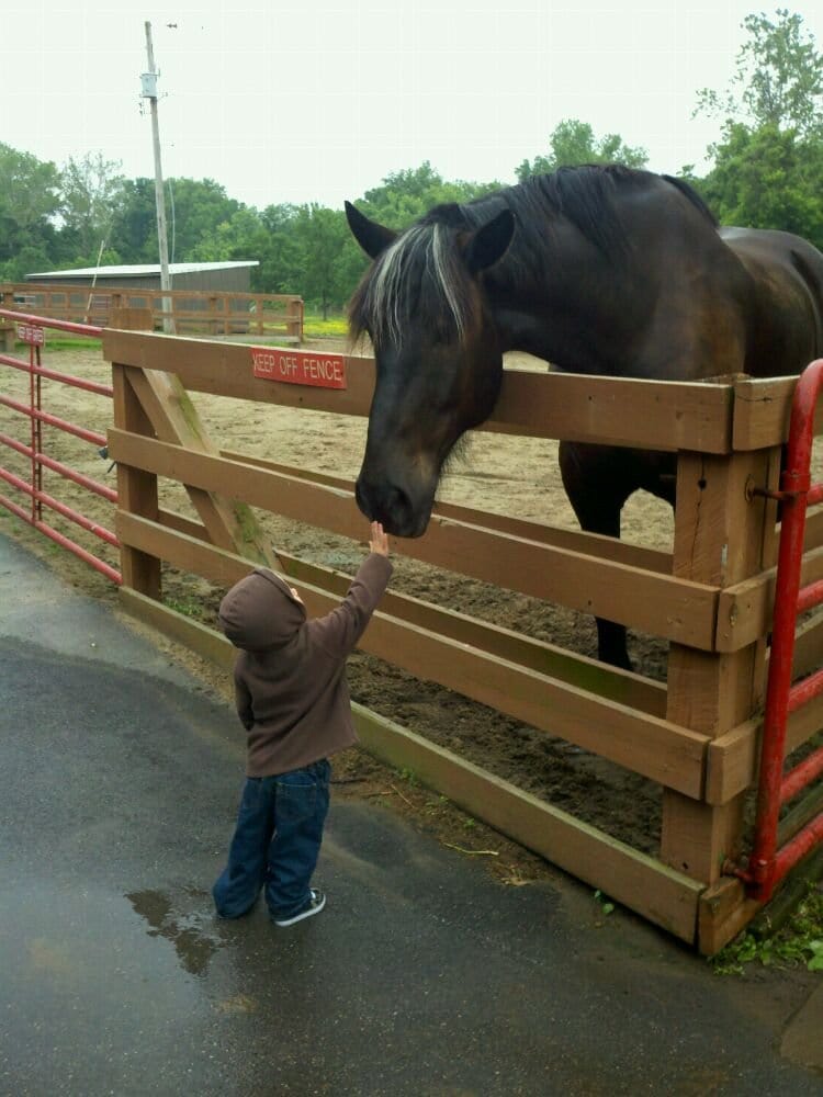 Suson Park 16 Reviews Parks 6059 Wells Rd, Saint Louis, MO Yelp