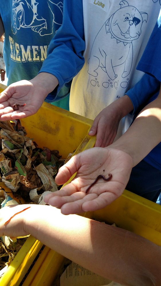 checking out the worms in the compost bin ewww or cool depending checking bin