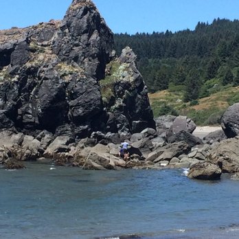 Lone Ranch Beach 36 Photos Beaches Hwy 101 Brookings Or Photo Of Lone Ranch Beach Brookings Or United States When The Tide