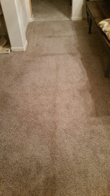 Alpha Omega Carpet Care San Antonio Tx Rug Alpha Omega Carpet Care San Antonio Tx Rug Cleaners Mapquest
