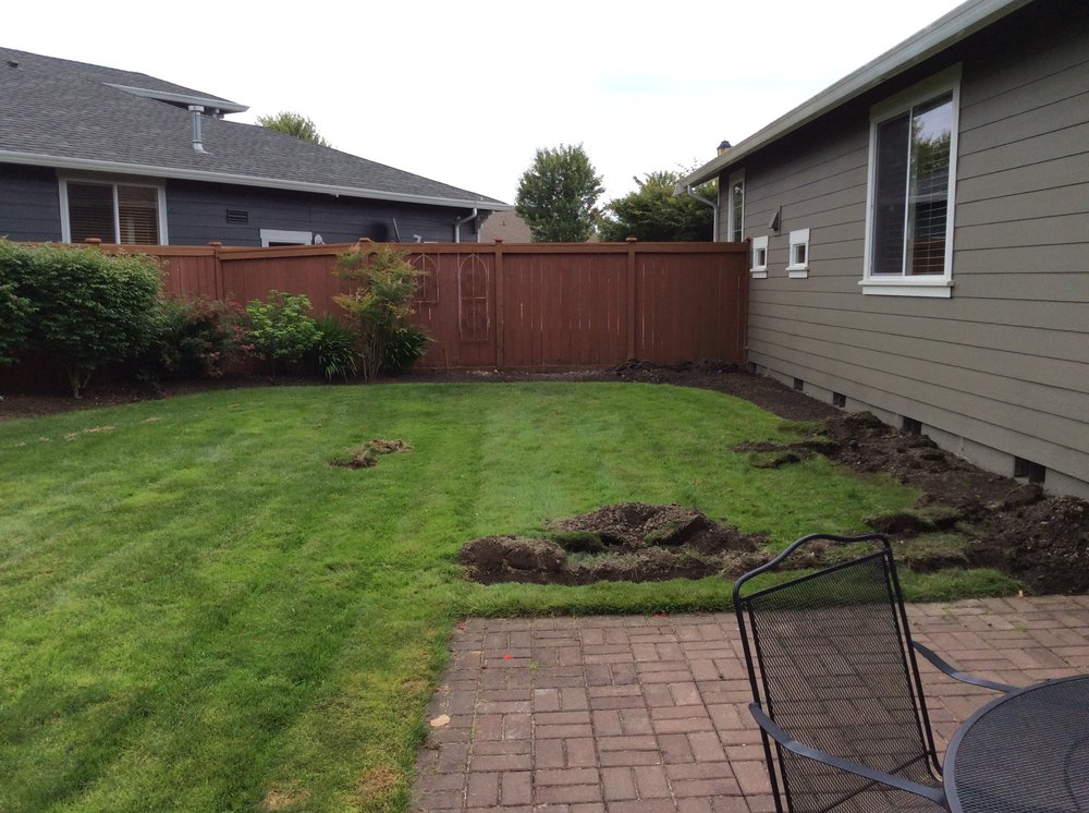 image of business Capitol Builders